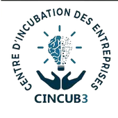 CINCUB3